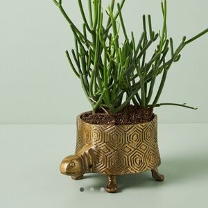 Anthropologie Planter Golden Turtle Bold Geometric Pattern EUC